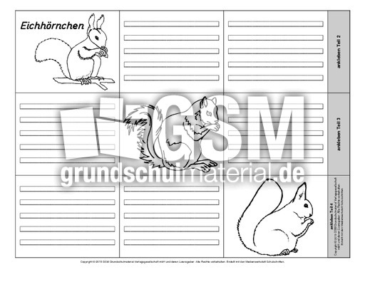 Leporello-Eichhörnchen-5-1-2.pdf